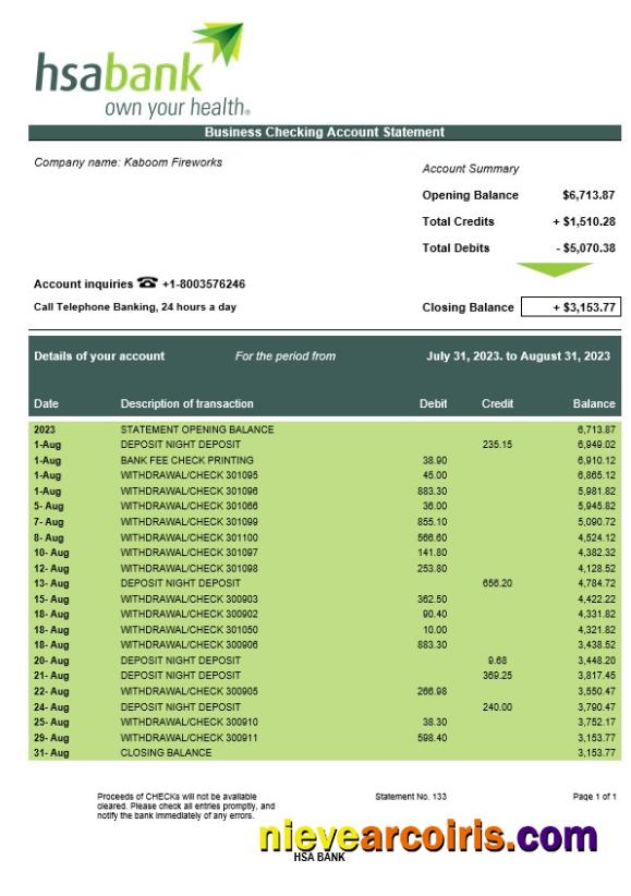 HSA Bank enterprise account statement